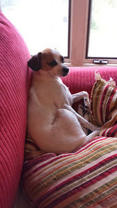 Meet your Posher, Lori